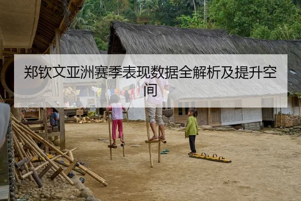郑钦文亚洲赛季表现数据全解析及提升空间
